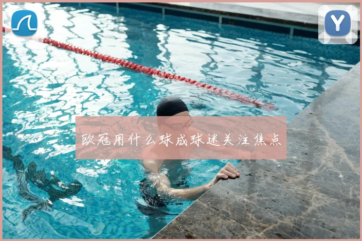 欧冠用什么球成球迷关注焦点