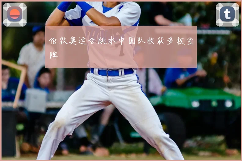 伦敦奥运会跳水中国队收获多枚金牌